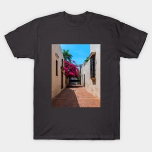 Dominican Alleyway T-Shirt